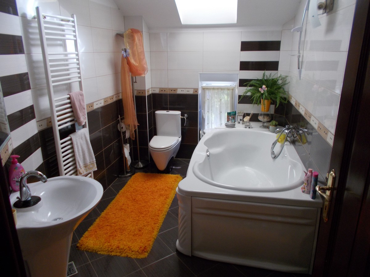 imobiliare timisoara