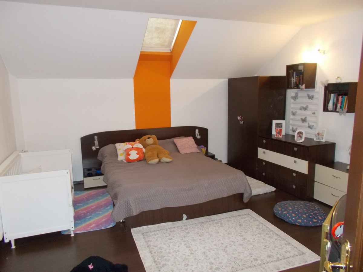 imobiliare timisoara