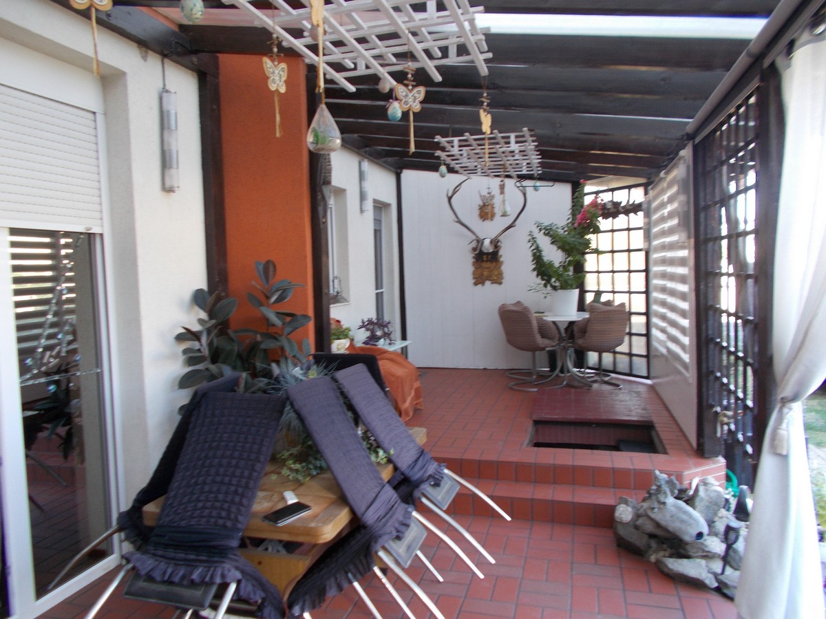 imobiliare timisoara