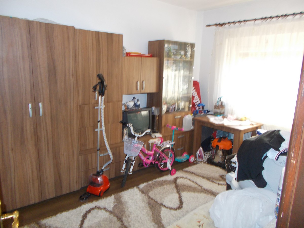 imobiliare timisoara