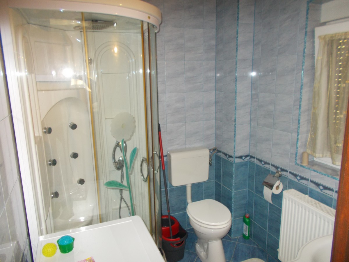 imobiliare timisoara