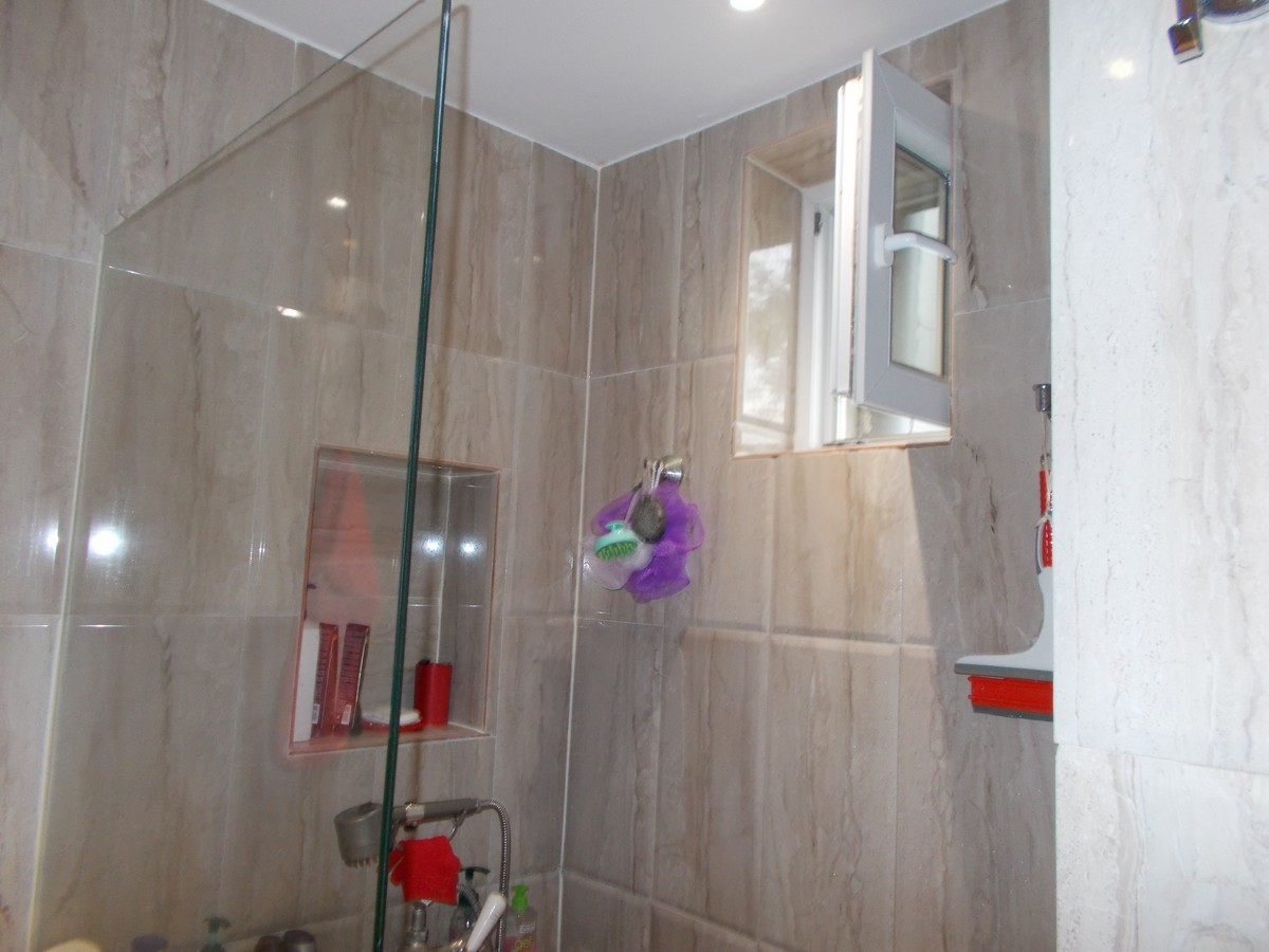 imobiliare timisoara