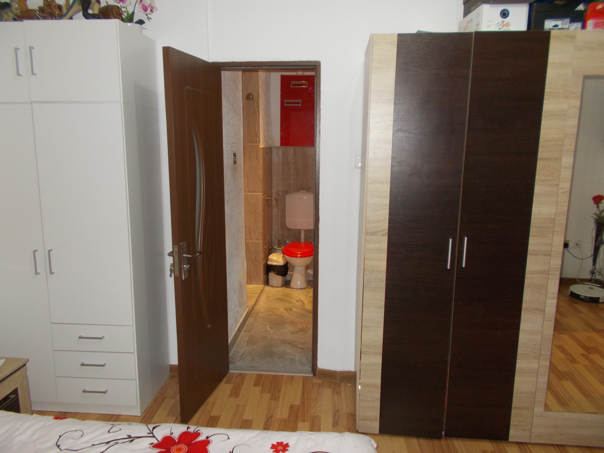 imobiliare timisoara
