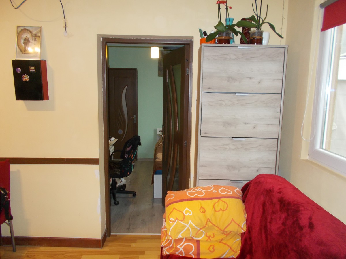 imobiliare timisoara