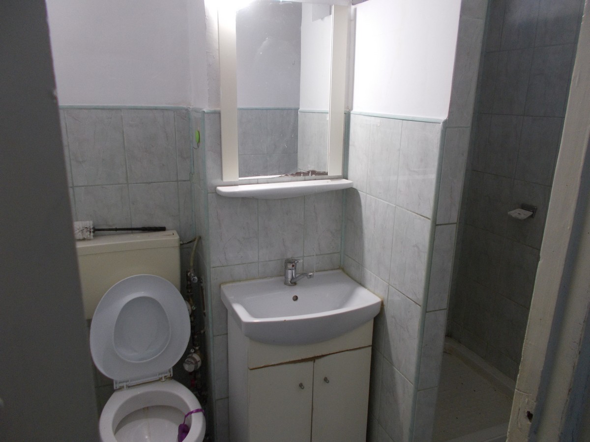 imobiliare timisoara