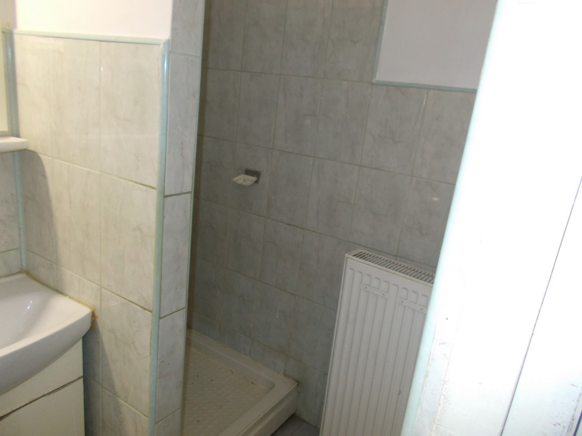 imobiliare timisoara