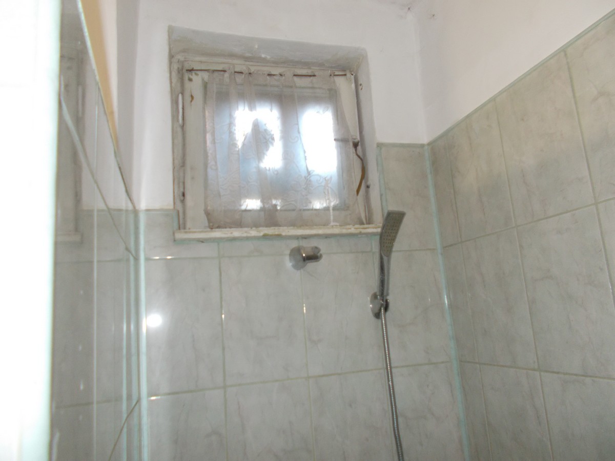 imobiliare timisoara