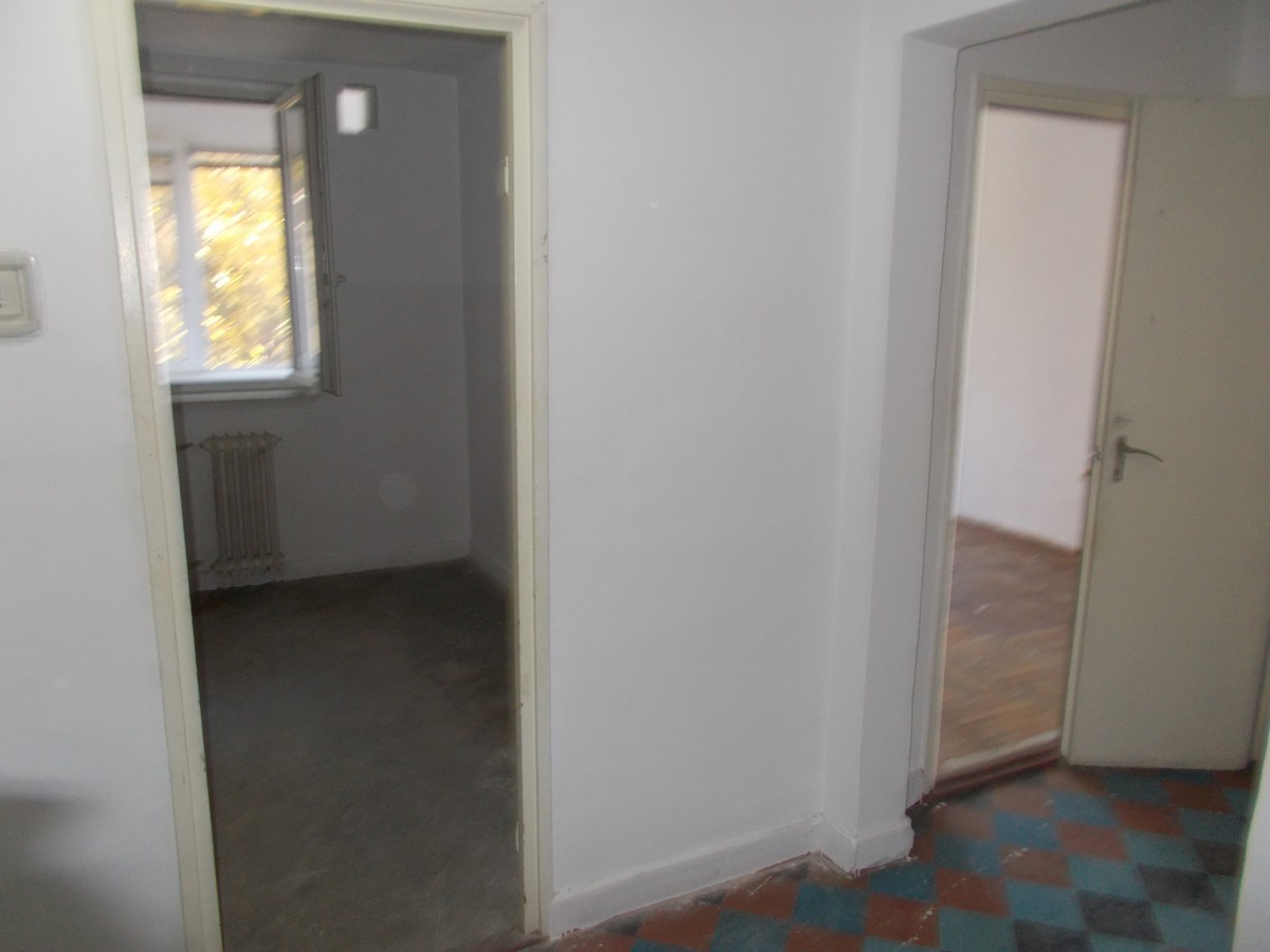imobiliare timisoara