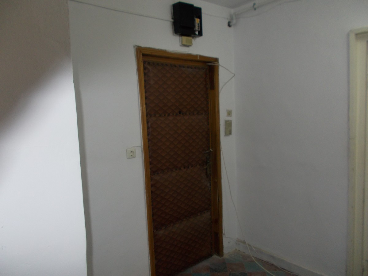 imobiliare timisoara