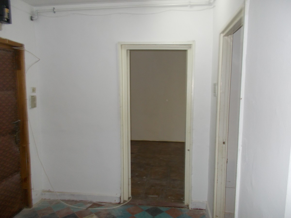imobiliare timisoara