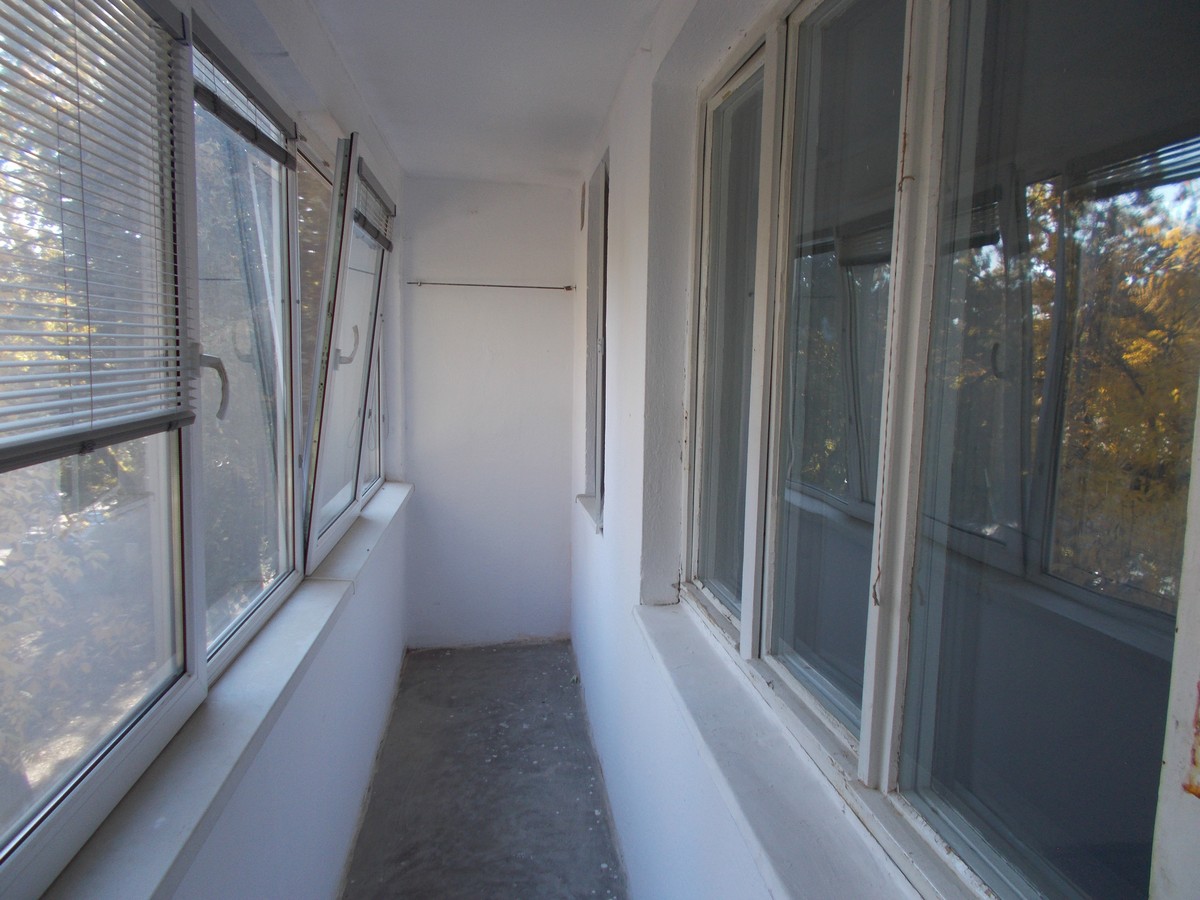 imobiliare timisoara