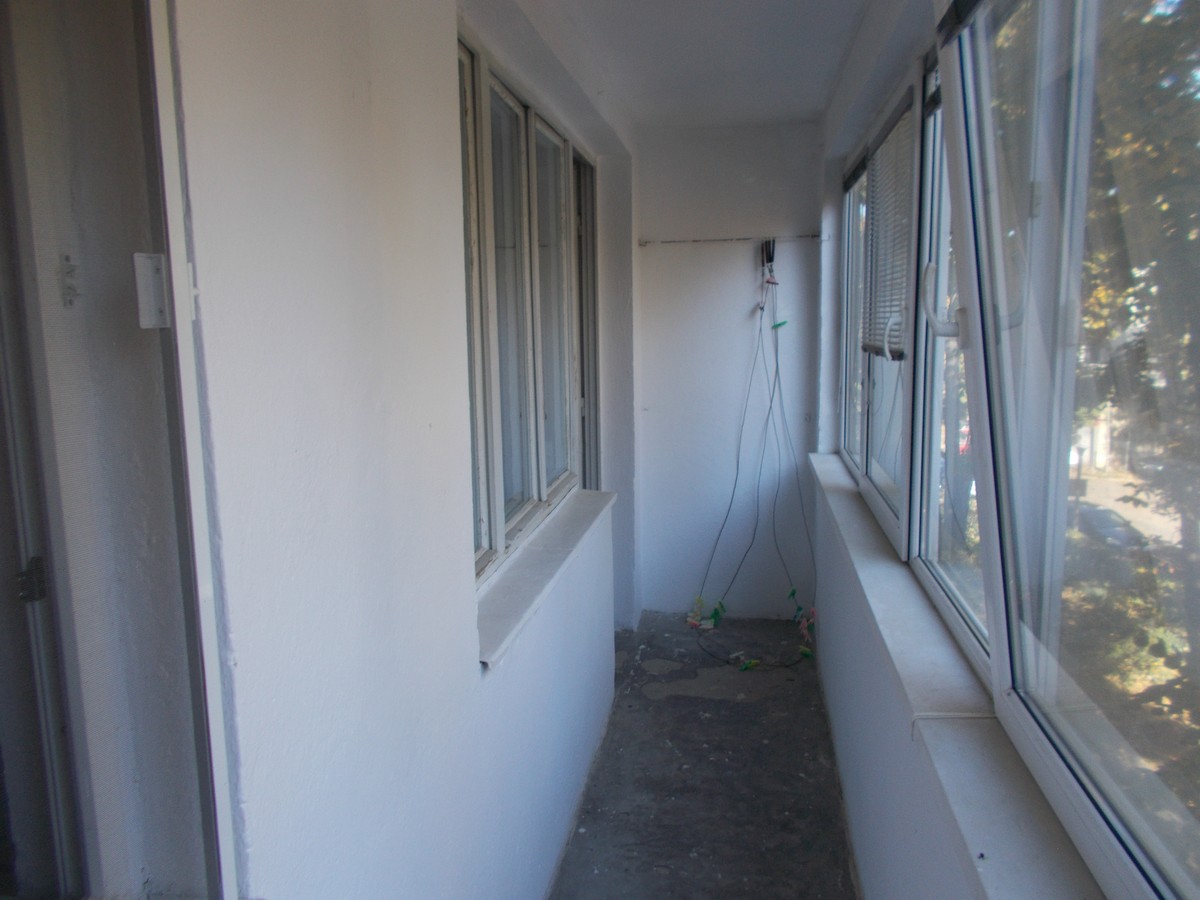 imobiliare timisoara