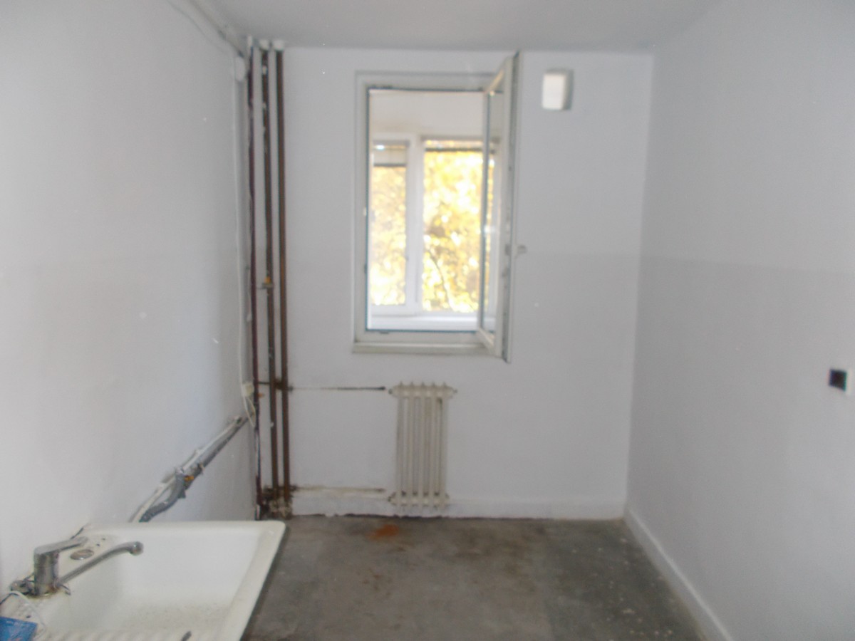 imobiliare timisoara