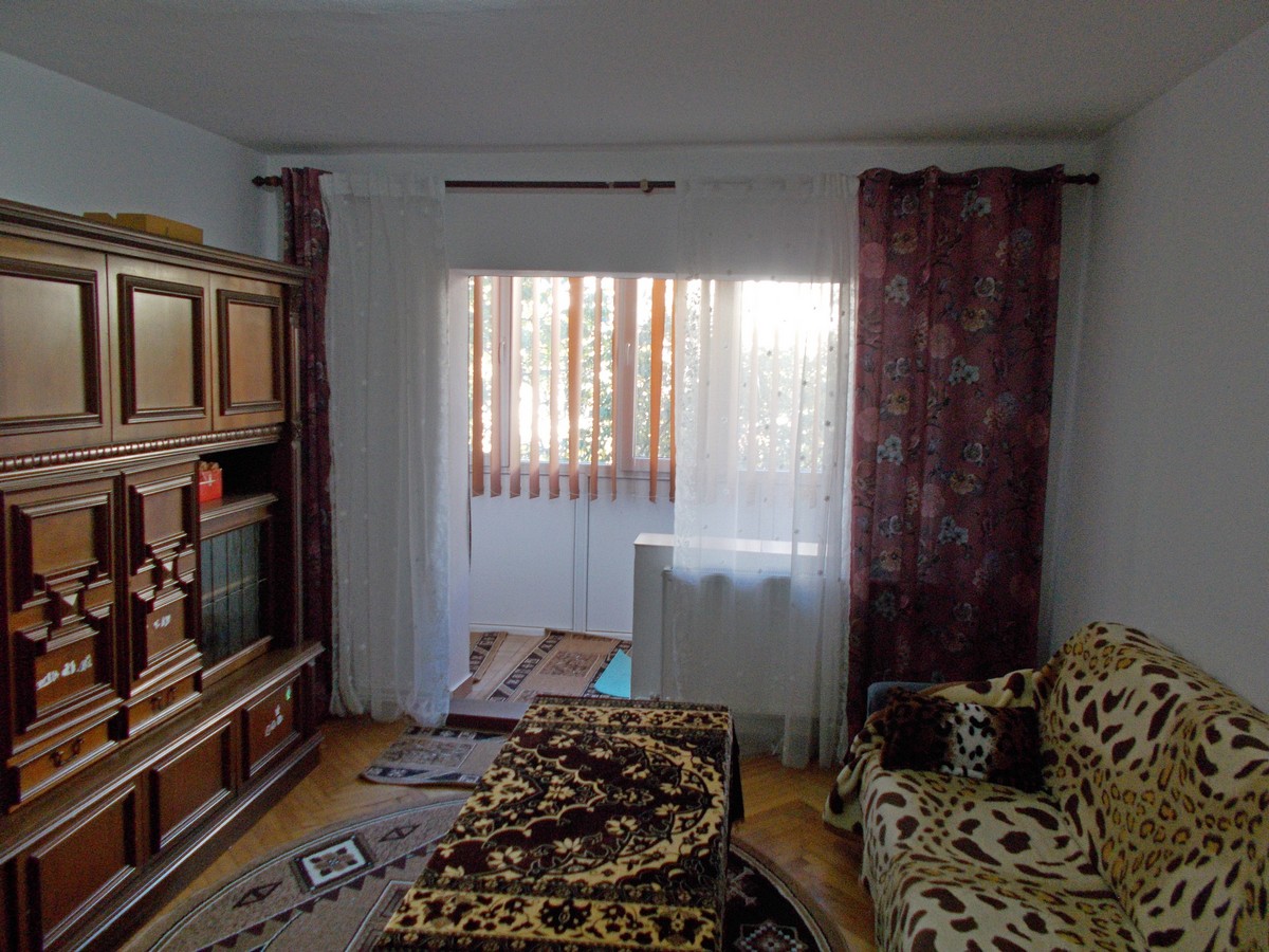 imobiliare timisoara
