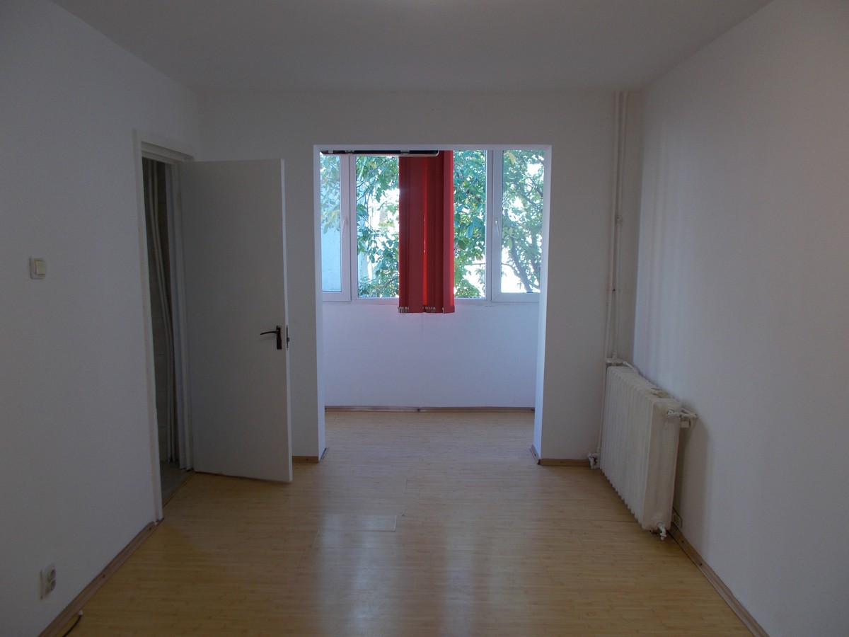 imobiliare timisoara