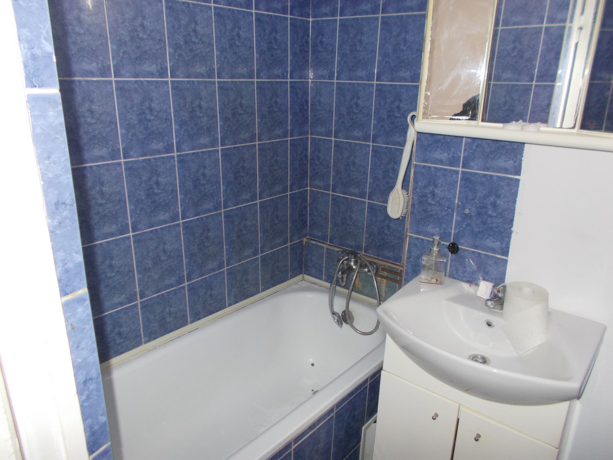 imobiliare timisoara