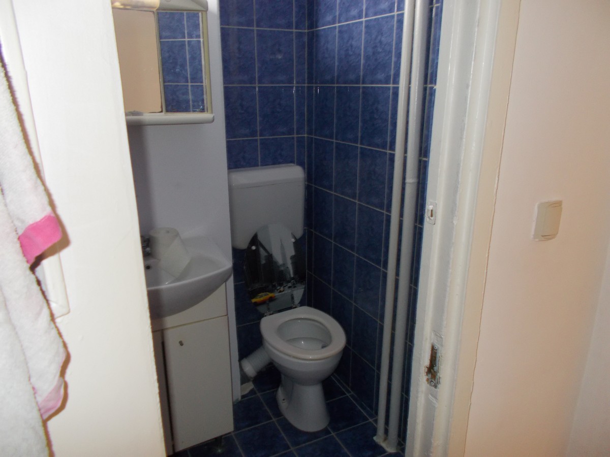 imobiliare timisoara