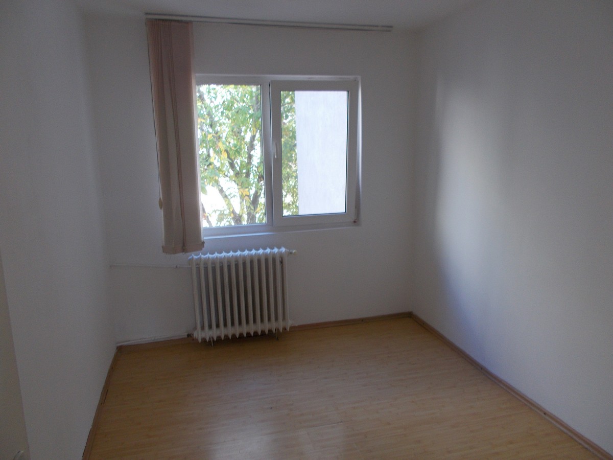 imobiliare timisoara