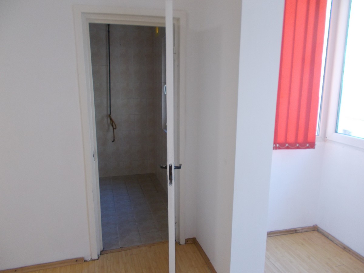 imobiliare timisoara