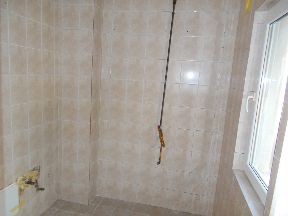 imobiliare timisoara