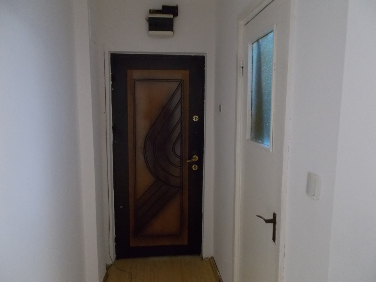 imobiliare timisoara