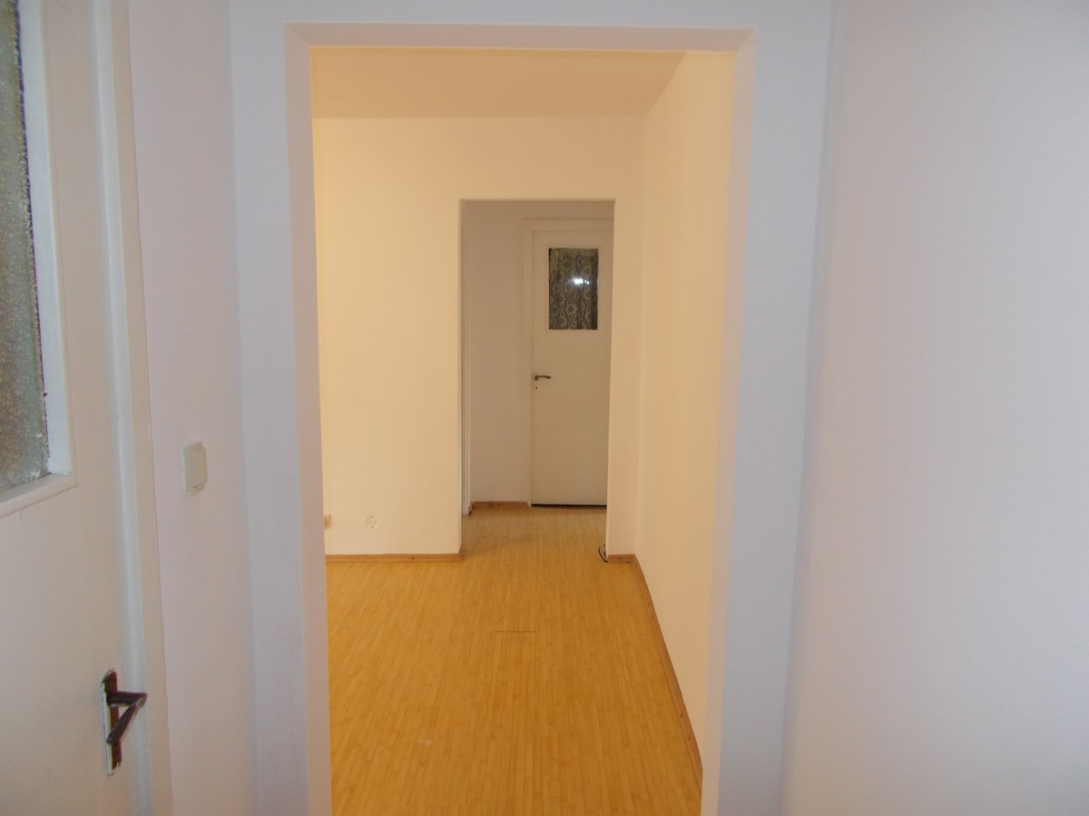 imobiliare timisoara