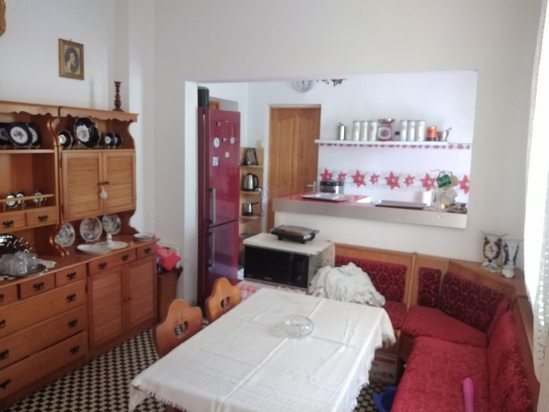 imobiliare timisoara