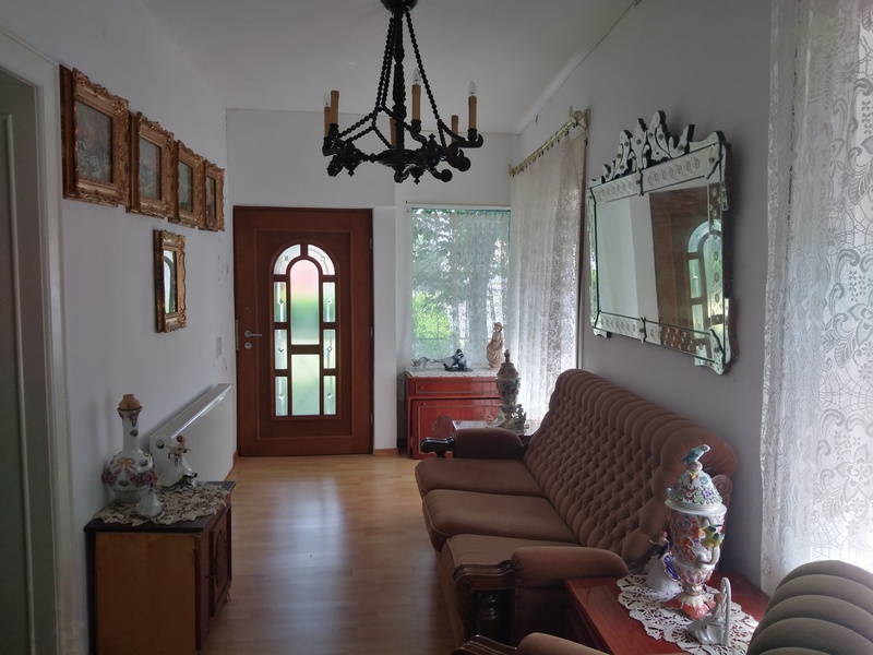 imobiliare timisoara