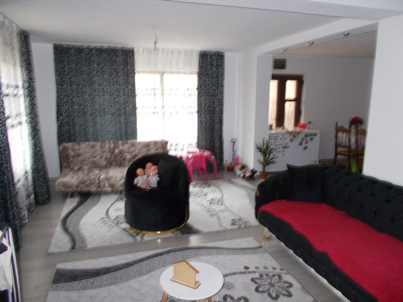 imobiliare timisoara