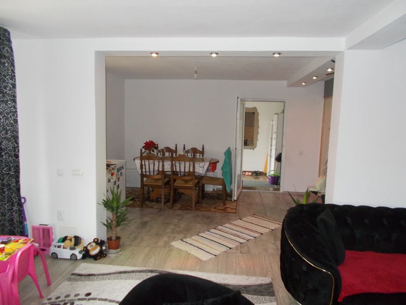 imobiliare timisoara