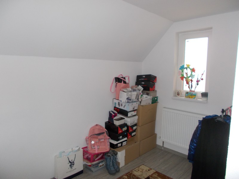 imobiliare timisoara