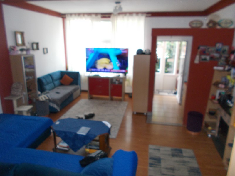 imobiliare timisoara