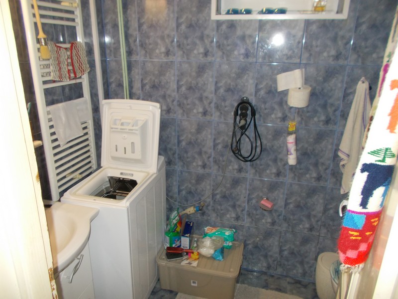 imobiliare timisoara
