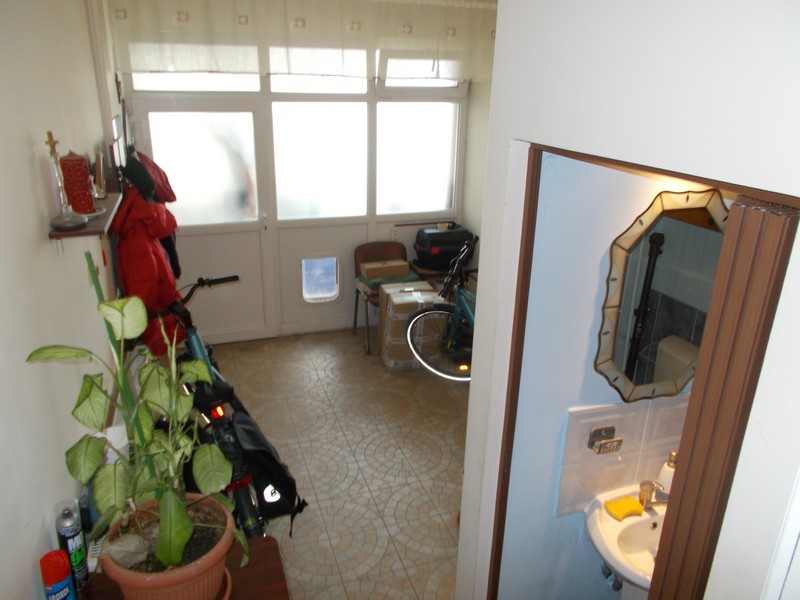 imobiliare timisoara