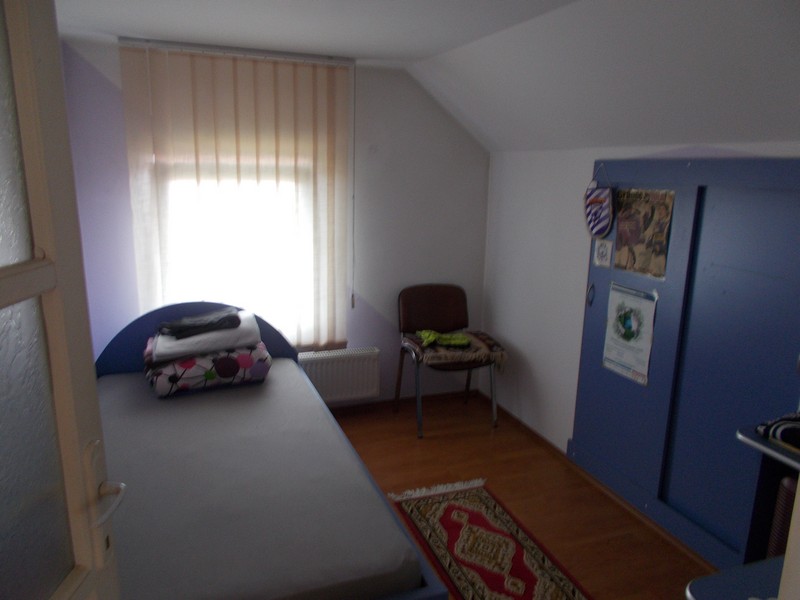imobiliare timisoara