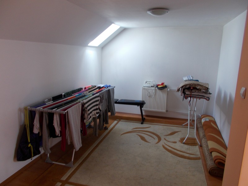 imobiliare timisoara