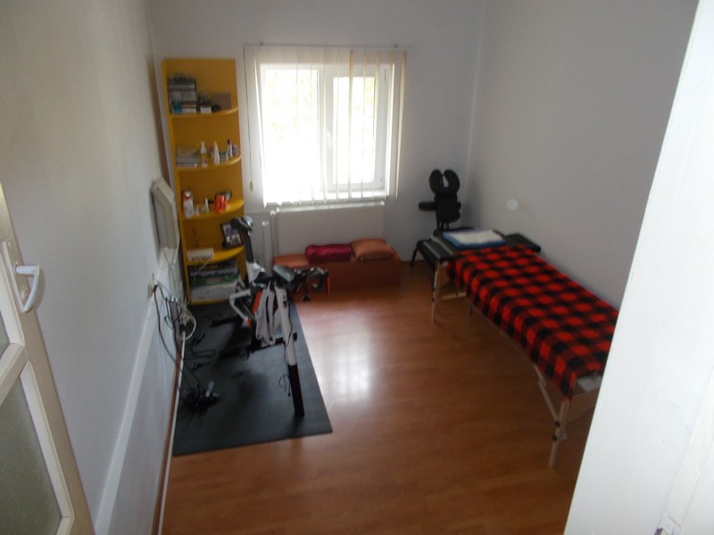 imobiliare timisoara