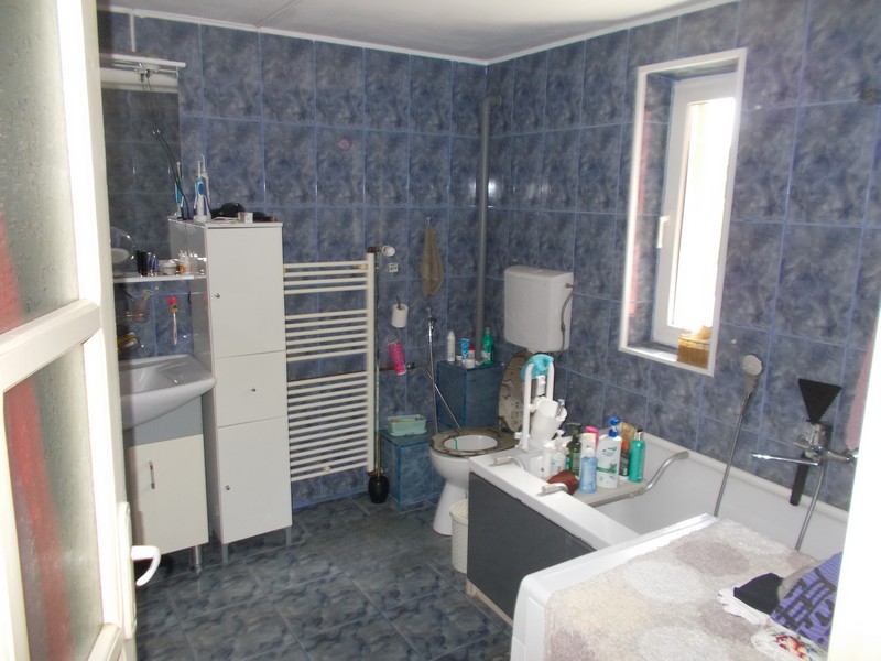 imobiliare timisoara