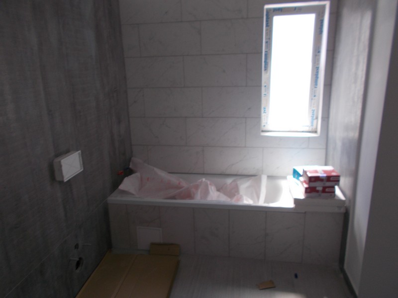 imobiliare timisoara