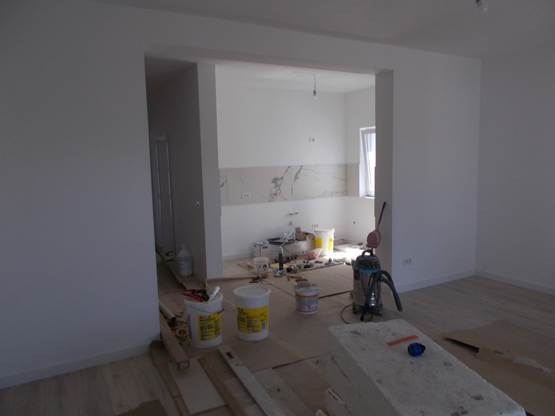 imobiliare timisoara