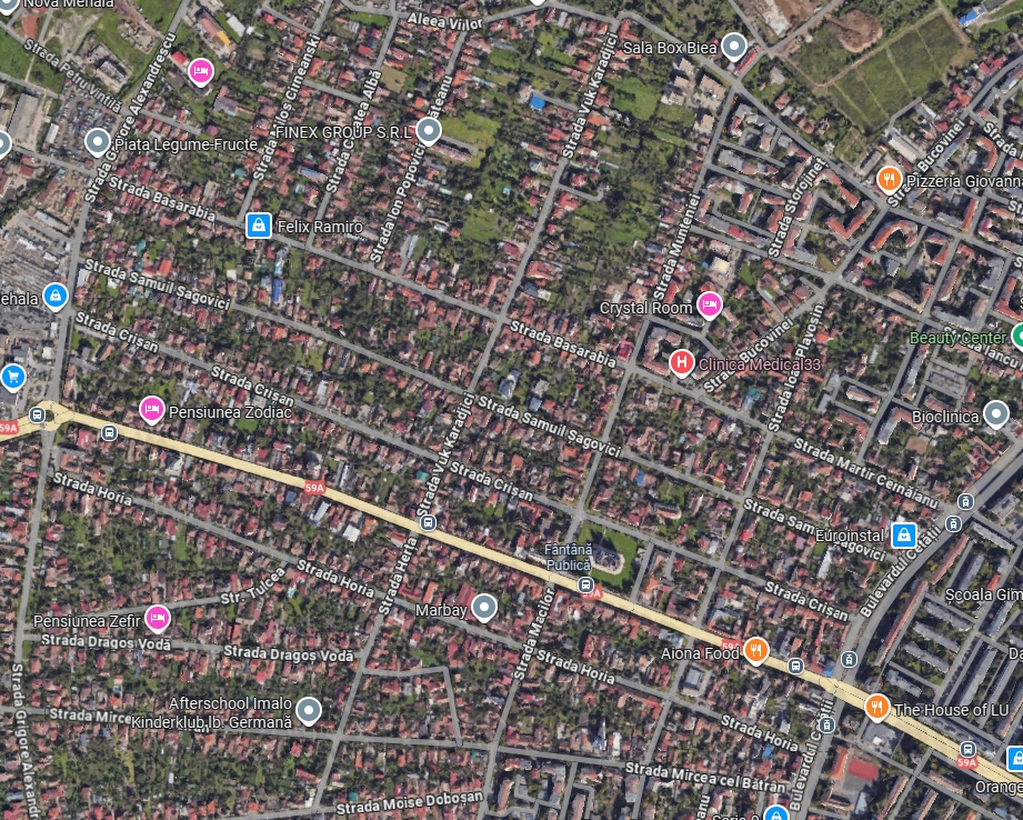 imobiliare timisoara