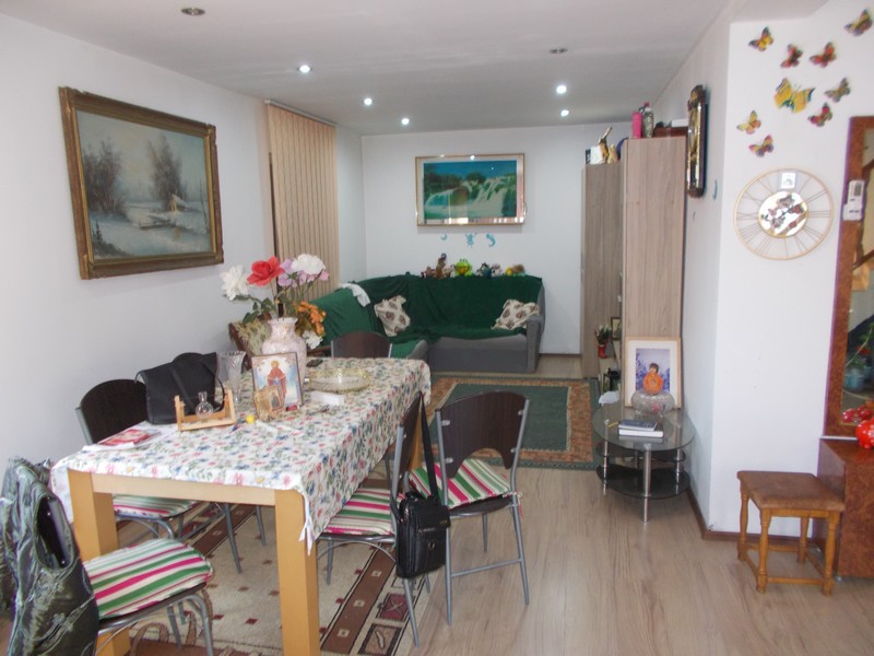 imobiliare timisoara