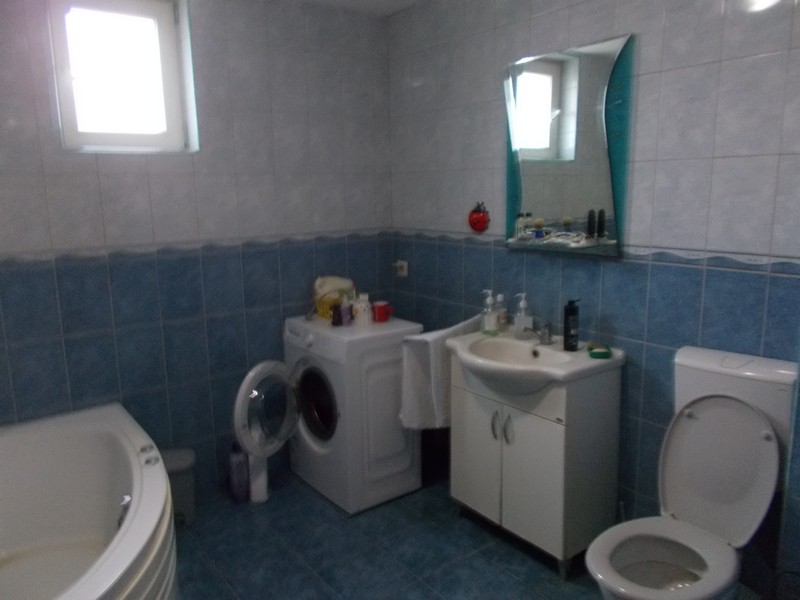 imobiliare timisoara