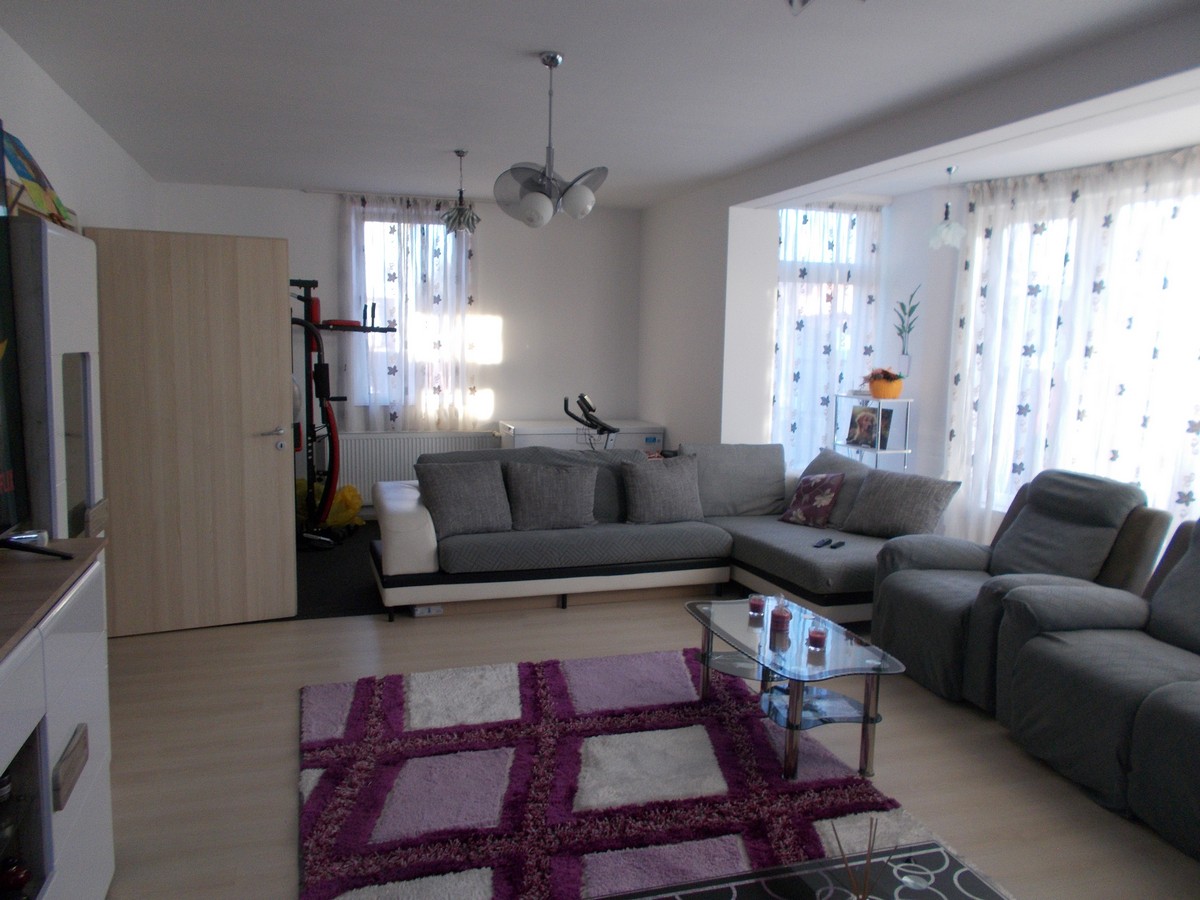 imobiliare timisoara