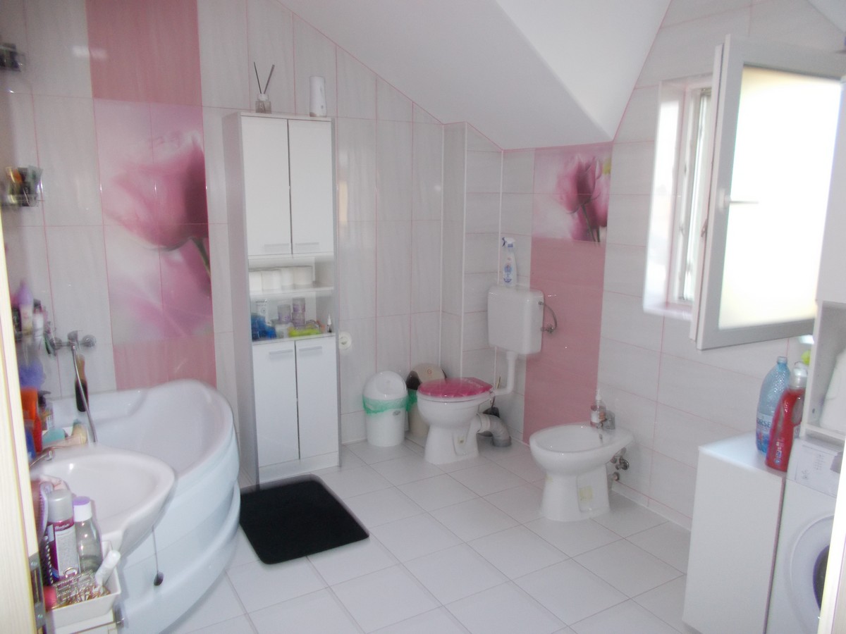 imobiliare timisoara