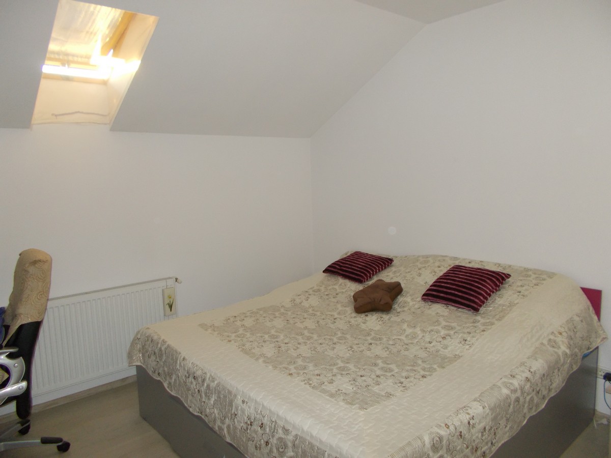 imobiliare timisoara