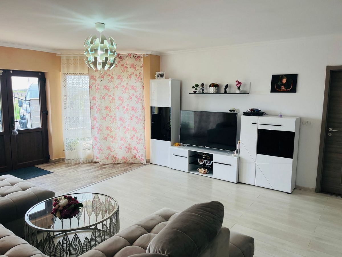 imobiliare timisoara