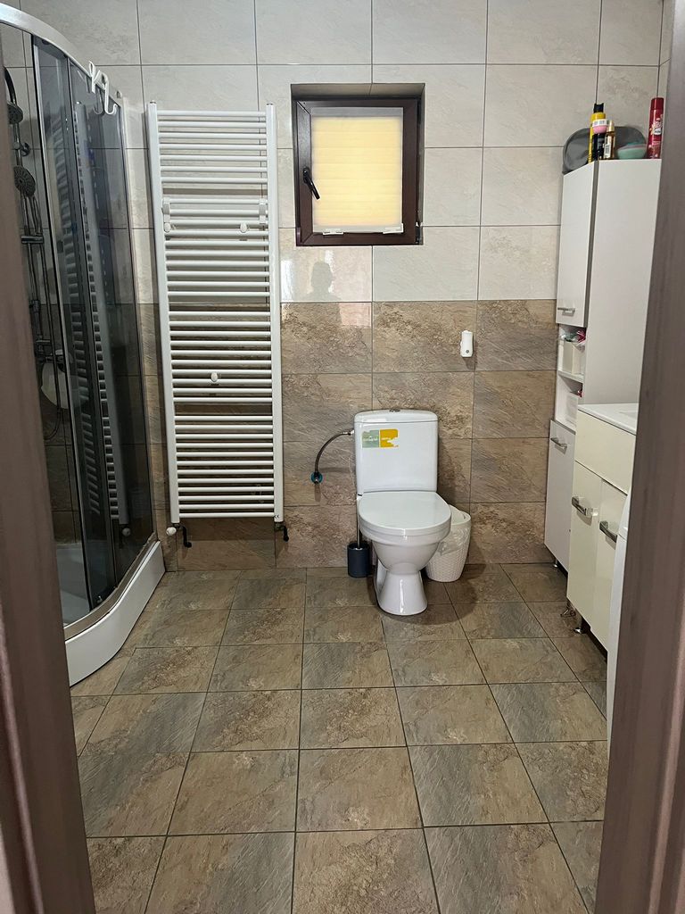 imobiliare timisoara
