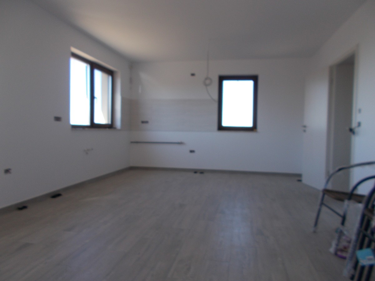 imobiliare timisoara