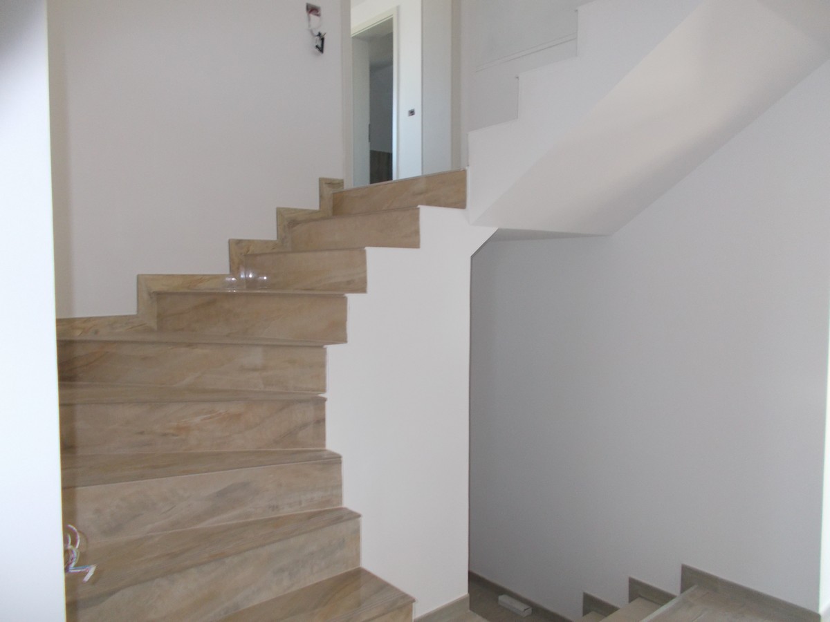 imobiliare timisoara